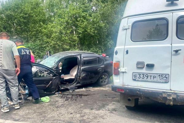 Пять человек, включая ребенка, получили травмы в лобовом ДТП под Новосибирском